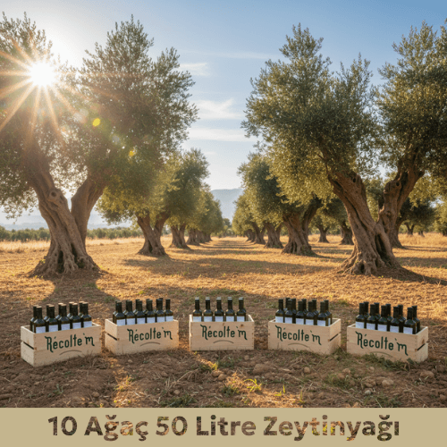 [object Object] Görseli