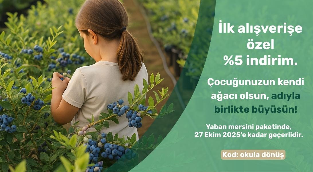 Okula Dönüş