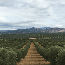 [object Object] Görseli