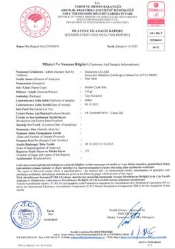 [object Object] Görseli