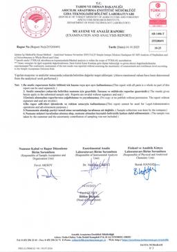 [object Object] Görseli