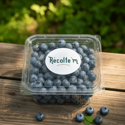 [object Object] Görseli