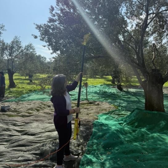 [object Object] Görseli