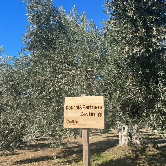 [object Object] Görseli