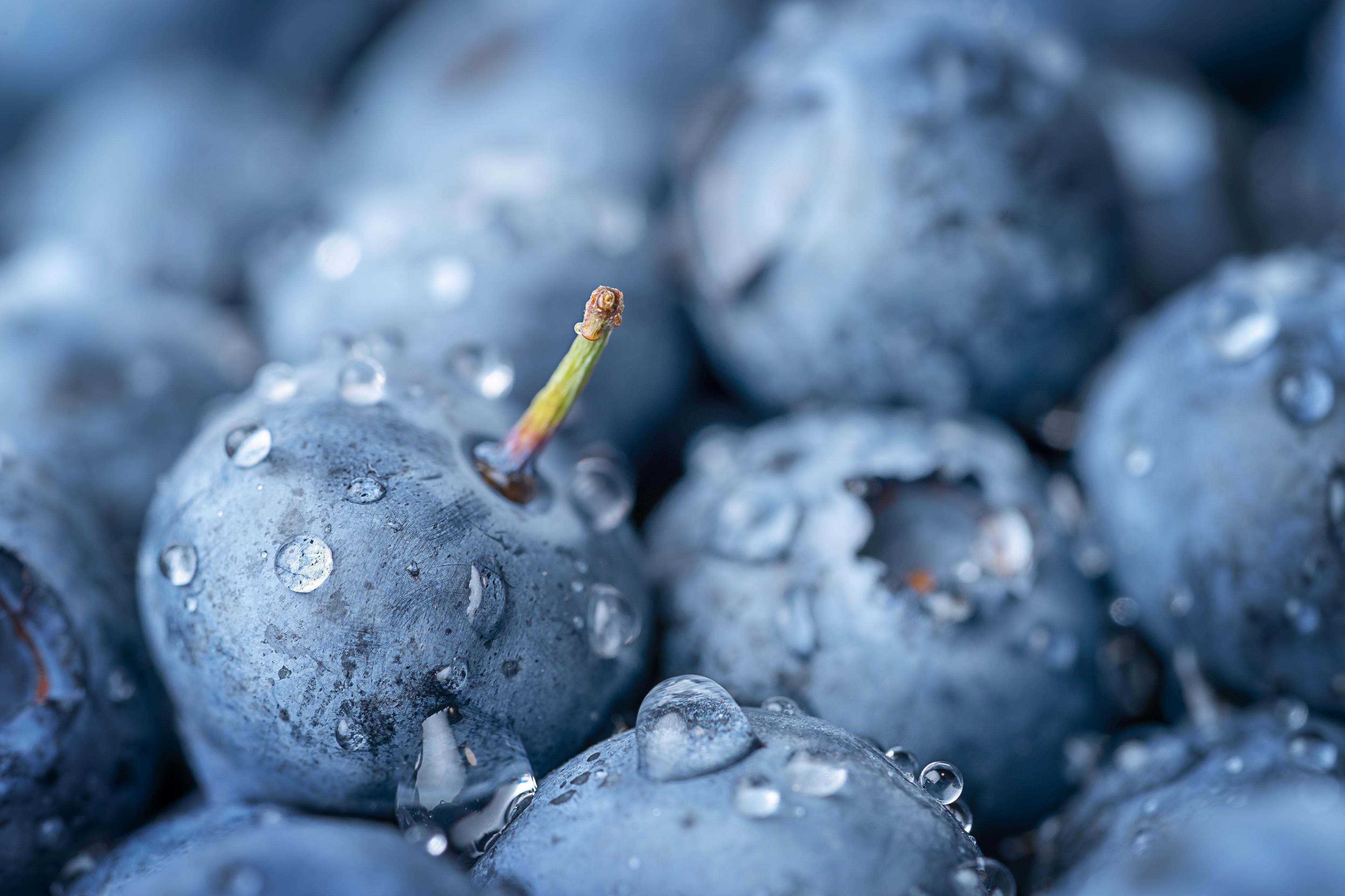 Yaban Mersini Faydaları