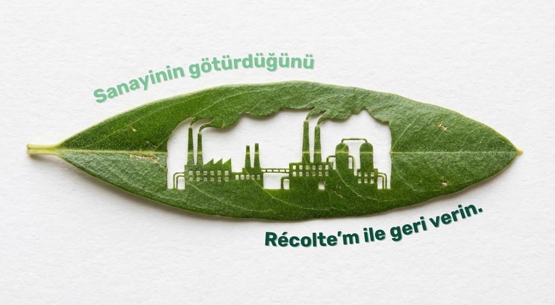 Karbon Ayak İzinizi Yok Edebilirsiniz